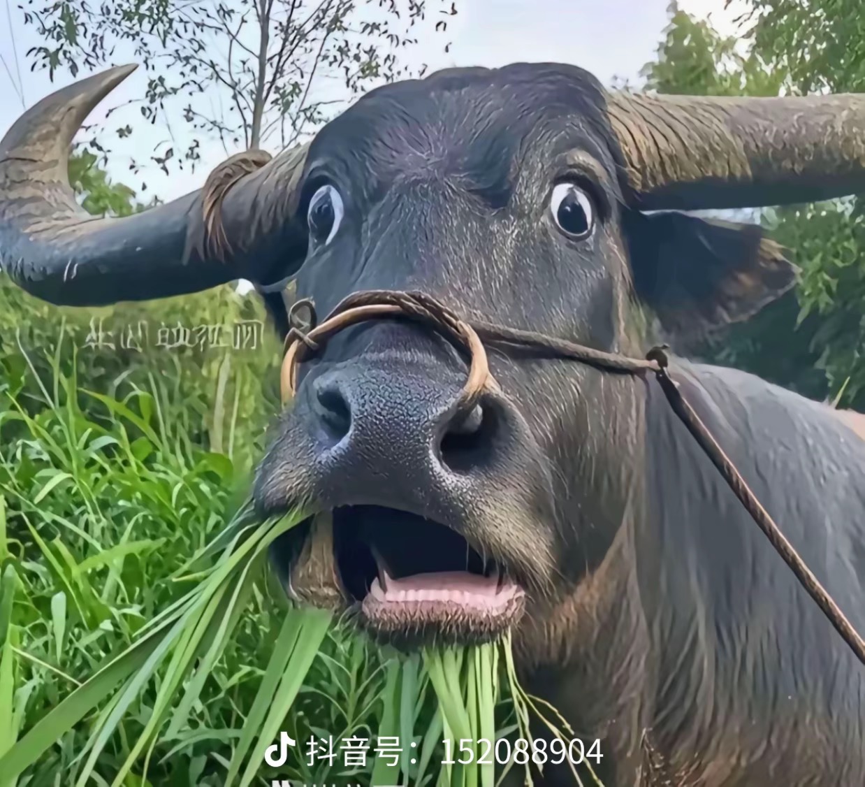 舌尖上的阴蒂的头像彩金网-bcw00.com-白菜网-白菜社区-中国白菜网-高质量白菜网-白菜策略论坛-白菜论坛-注册送-撸菜之家-白菜网-白嫖彩金-白-mg试玩游戏-注册送88-免费试玩-白菜网送彩金平台-白菜网注册领取体验金大全app-开户送88元体验金网站-白菜社区-pg电子游戏官网官方网站-pg电子试玩入口彩金网白菜社区bcw00.xyz-白菜论坛-白菜社区-免费彩金-白嫖网-高质量白菜网-收录全网白菜项目-彩金网